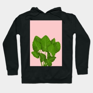 Modern House plant in pink 10, Abstract Plant Art Hoodie